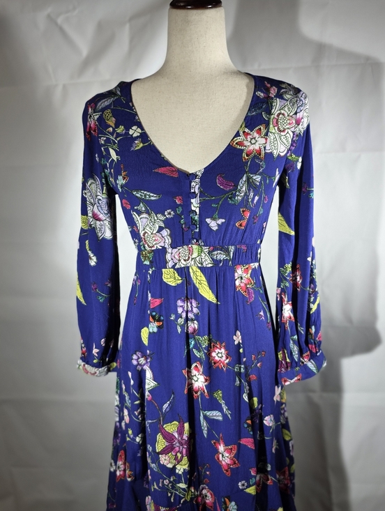 Maeve Dresses & Skirts - Maeve Anthropologie Maplewood Blue Floral Long Sleeve Button Front Dress XS